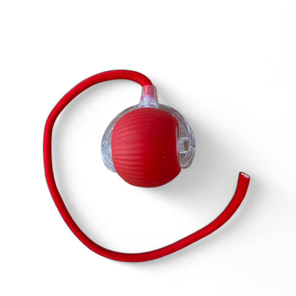 PouncePlay Interactive Cat Ball