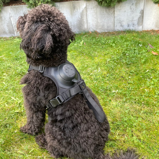 Retractable Vest Traction Rope - MemoryTails