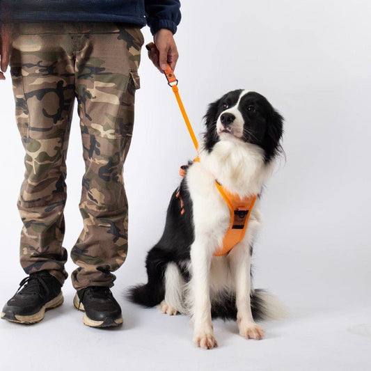 Retractable Vest Traction Rope - MemoryTails
